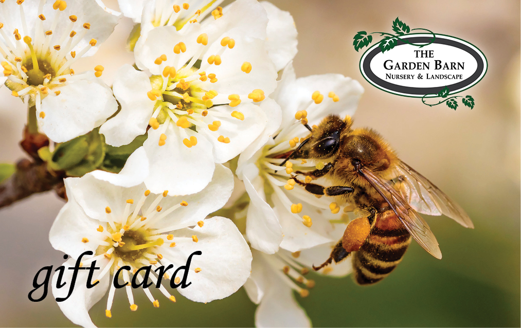 Gift Card Garden Barn